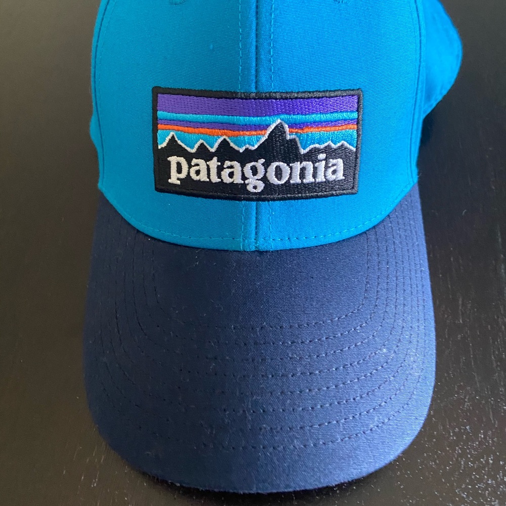 Patagonia Blue and Navy Cap